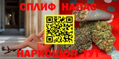 МДПВ Будённовск