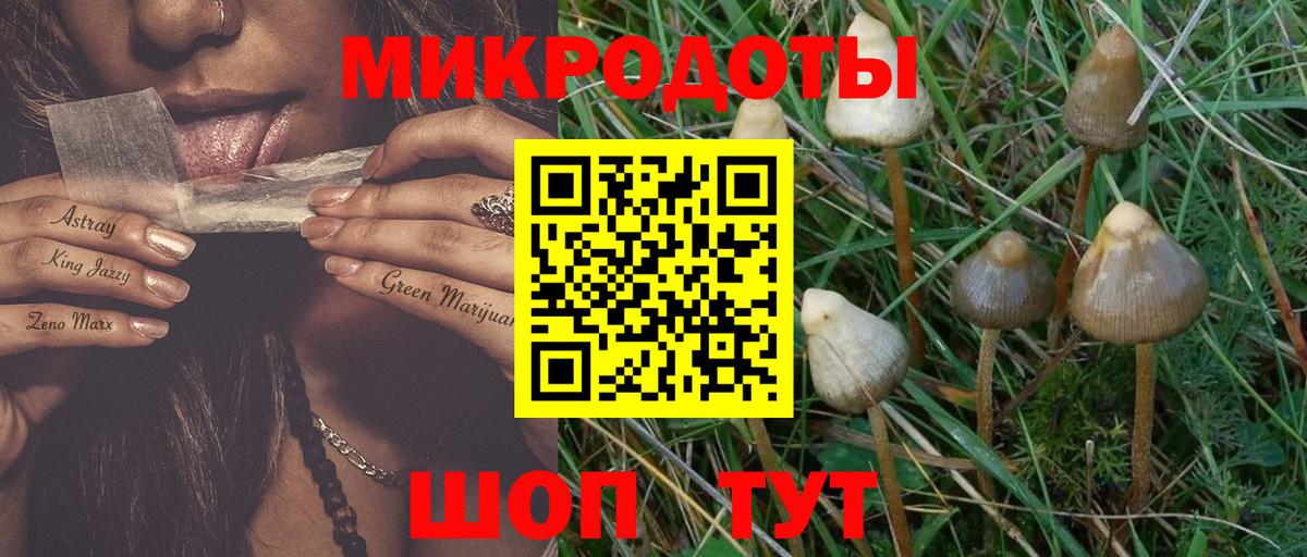 Галлюциногенные грибы Magic Shrooms  Псилоцибиновые грибы мицелий  Невинномысск  Вход с VPN 